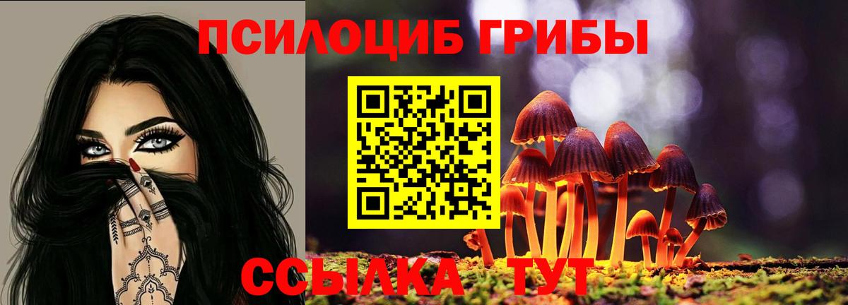 Галлюциногенные грибы MAGIC MUSHROOMS Димитровград