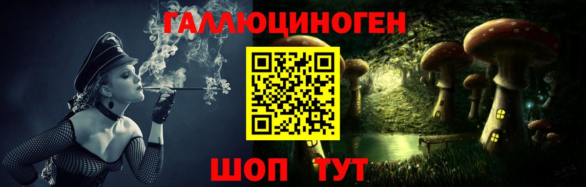 Галлюциногенные грибы Psilocybine cubensis  Вход с VPN  Димитровград 
